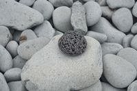 
DSC00182